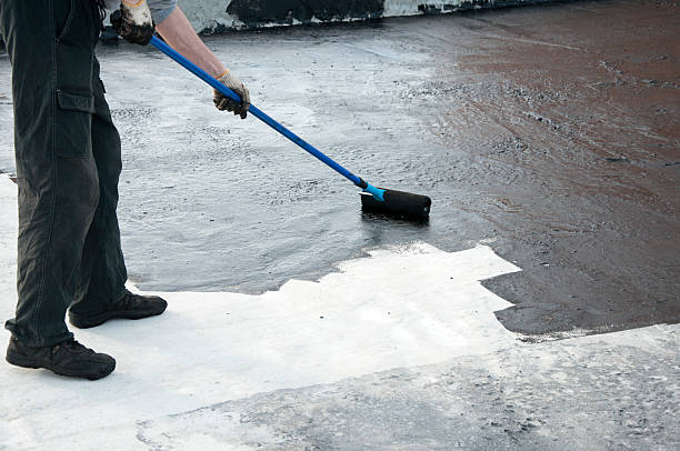 Best Concrete Removal and Replacement in La Grulla, TX